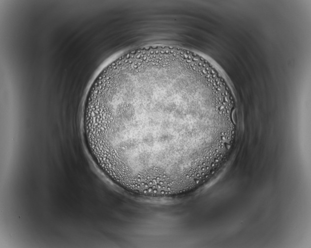 X0000086270957200704191922