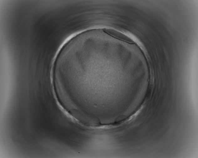 X0000086270958200704191922