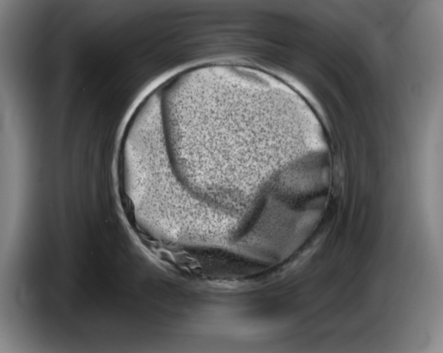 X0000086270959200704191922