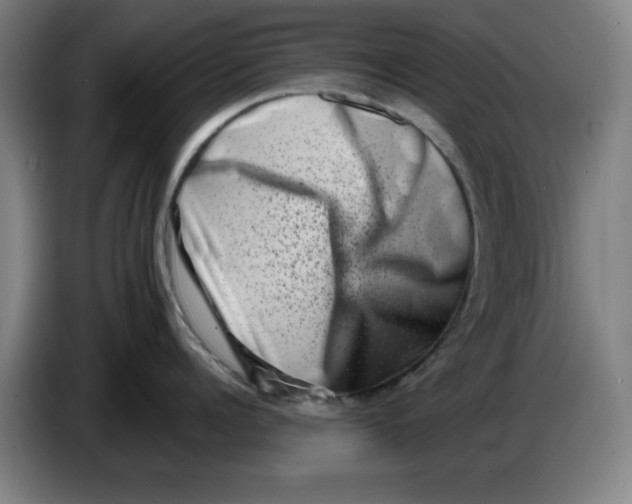 X0000086270960200704191922