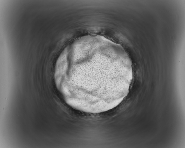 X0000086270961200704191921