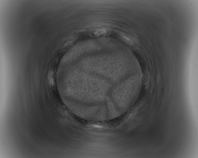 X0000086270962200704191921