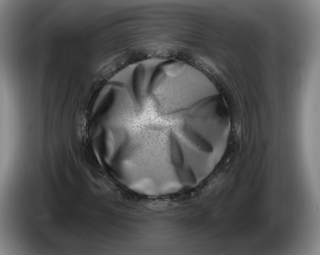 X0000086270964200704191921