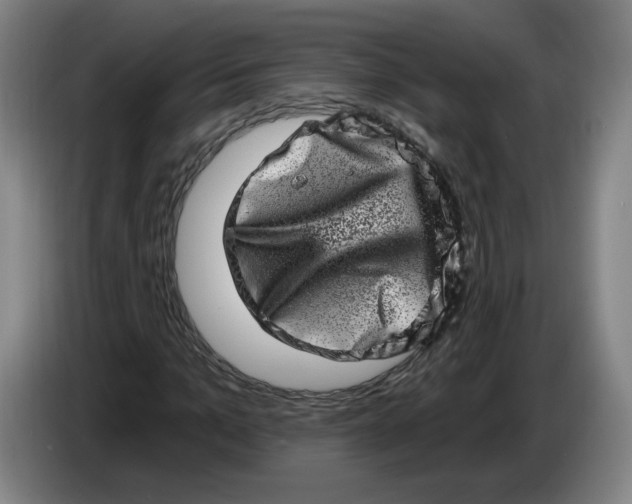 X0000086270965200704191921