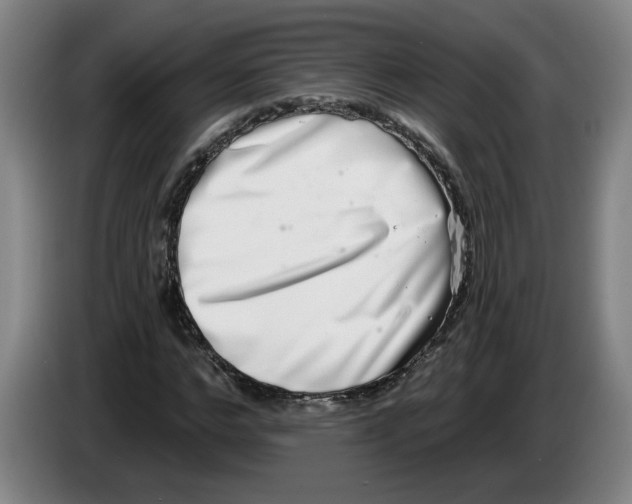 X0000086270968200704191921