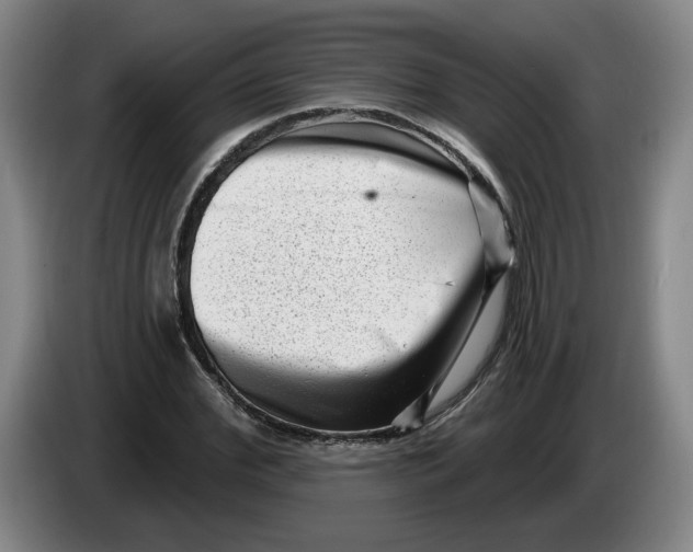 X0000086270972200704191921