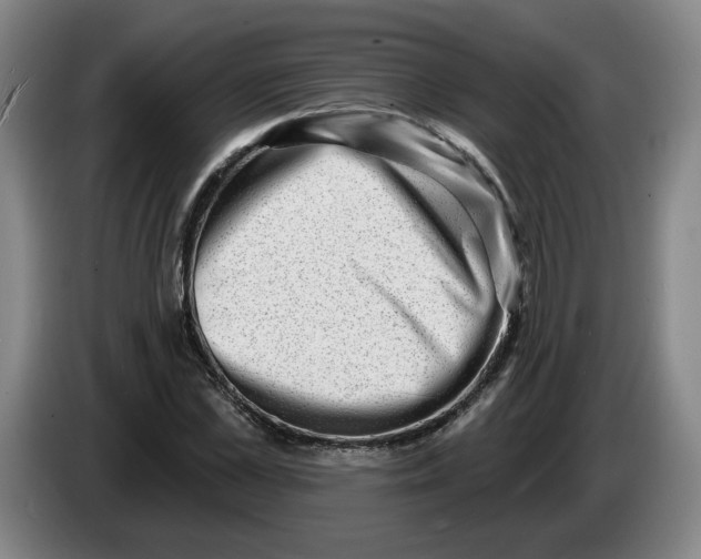 X0000086270973200704191921