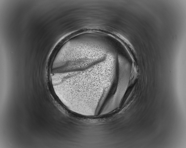 X0000086270976200704191921