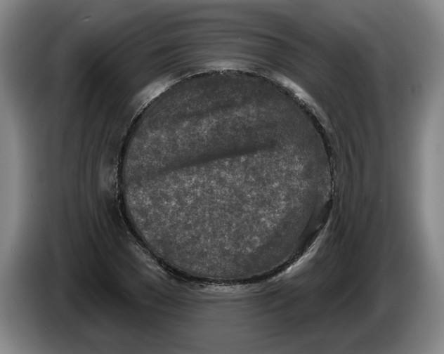 X0000086270977200704191921