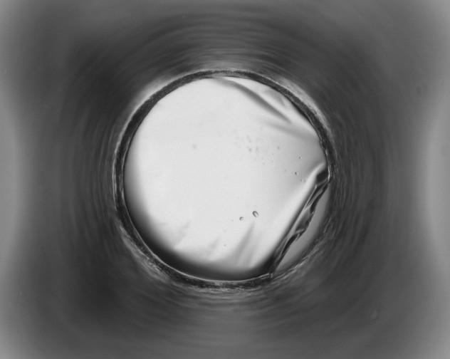 X0000086270980200704191921