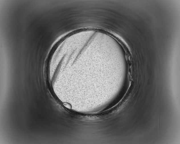 X0000086270983200704191921