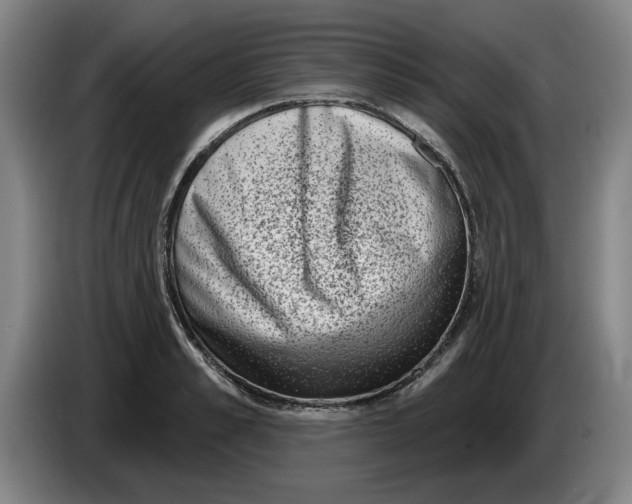 X0000086270989200704191921