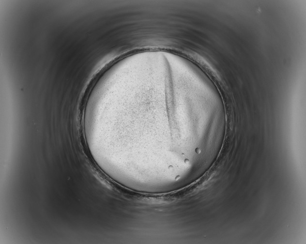 X0000086270990200704191921