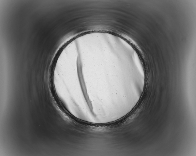 X0000086270991200704191921