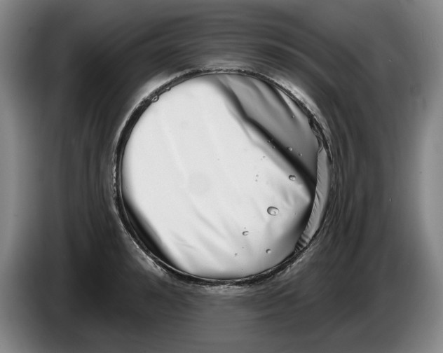 X0000086270992200704191921