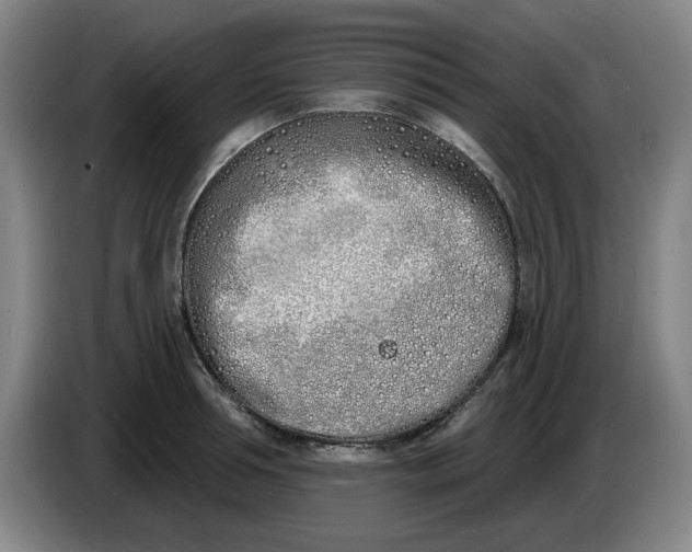 X0000086270994200704191921