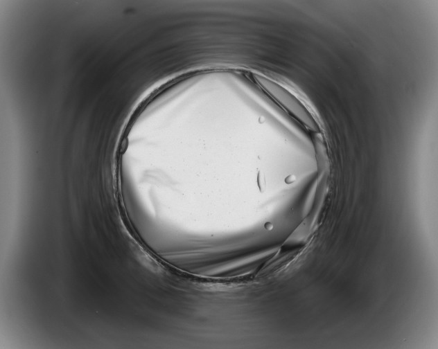 X0000086270996200704191921