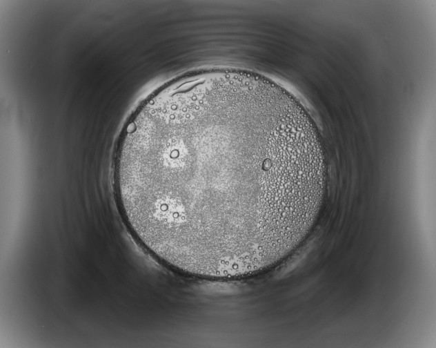 X0000086270998200704191921