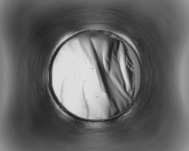 X0000086270999200704191921