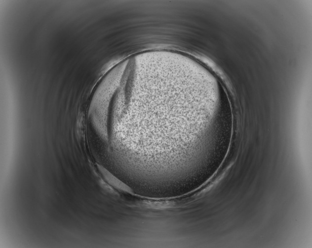 X0000086271001200704191921