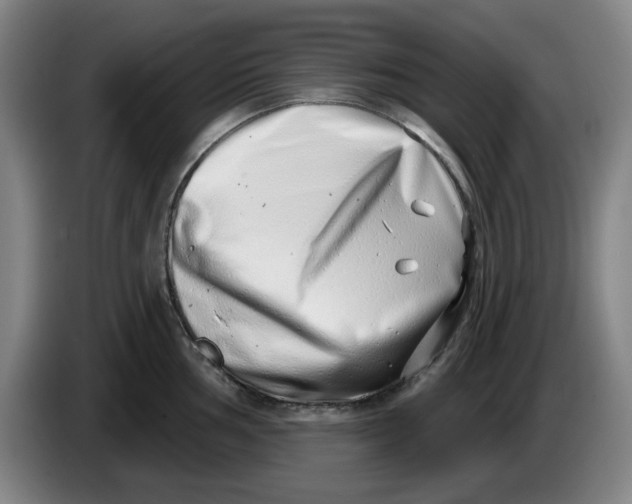 X0000086271002200704191921