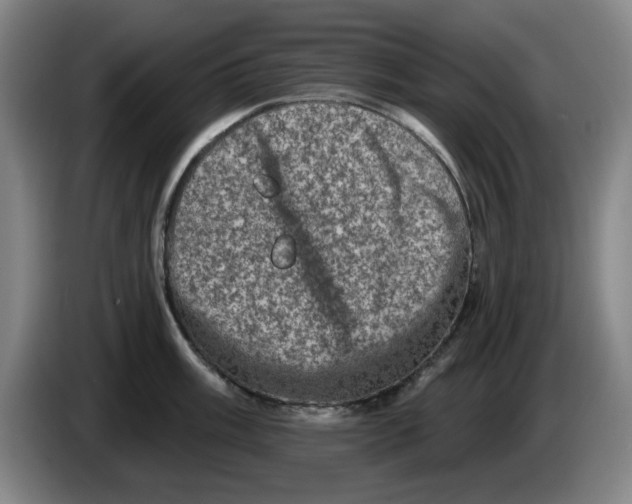 X0000086271003200704191921