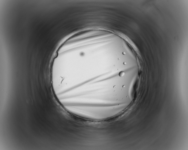 X0000086271004200704191921