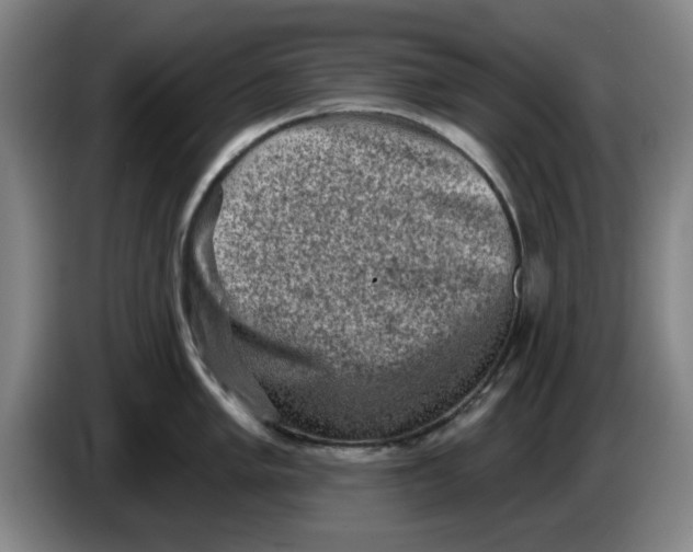 X0000086271005200704191921