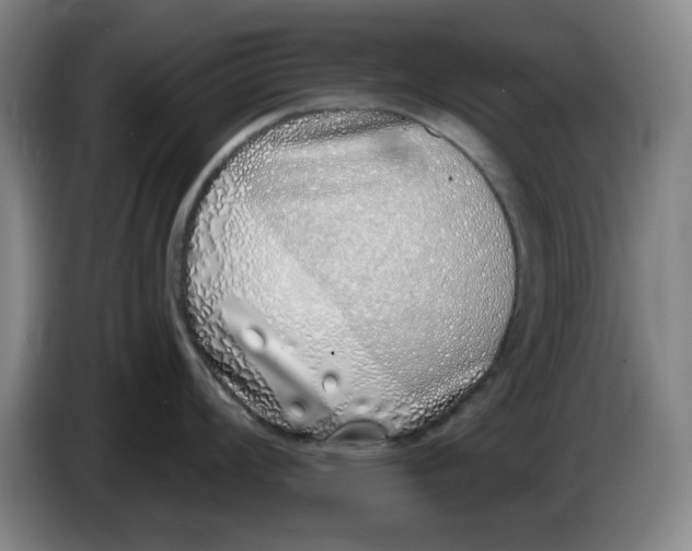 X0000086271008200704191921