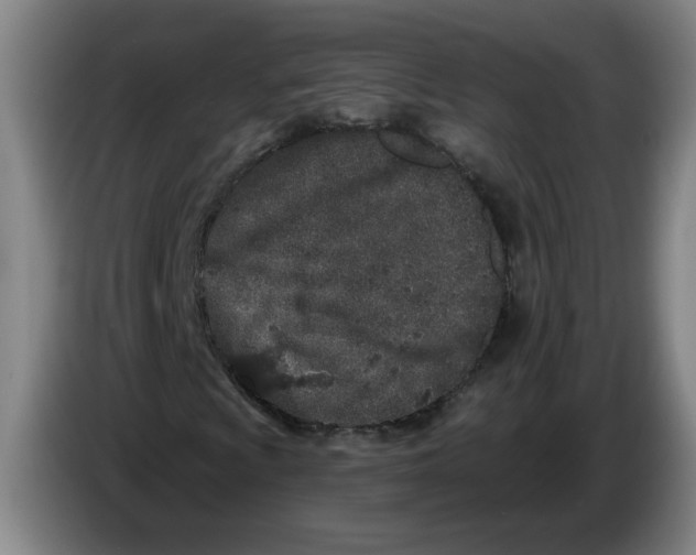 X0000086271009200704191920