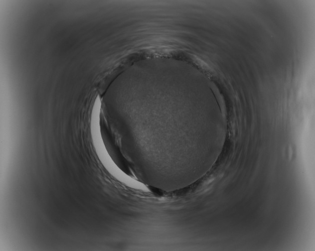 X0000086271010200704191920