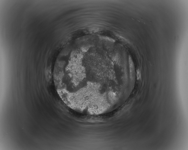 X0000086271011200704191920