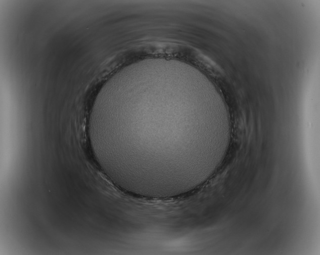 X0000086271013200704191920