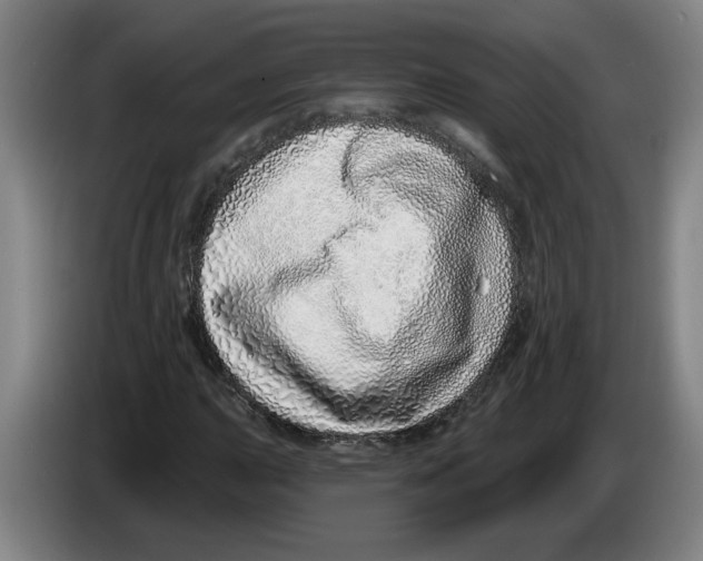 X0000086271015200704191920