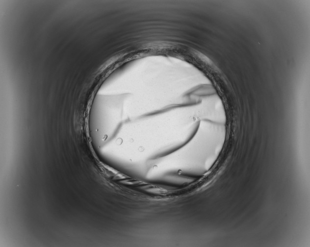 X0000086271017200704191920