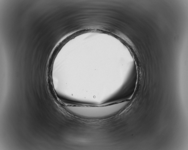 X0000086271020200704191920