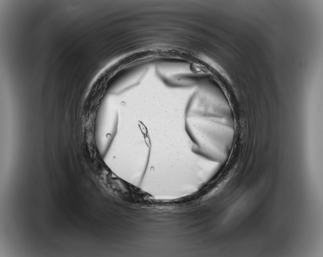 X0000086271021200704191920