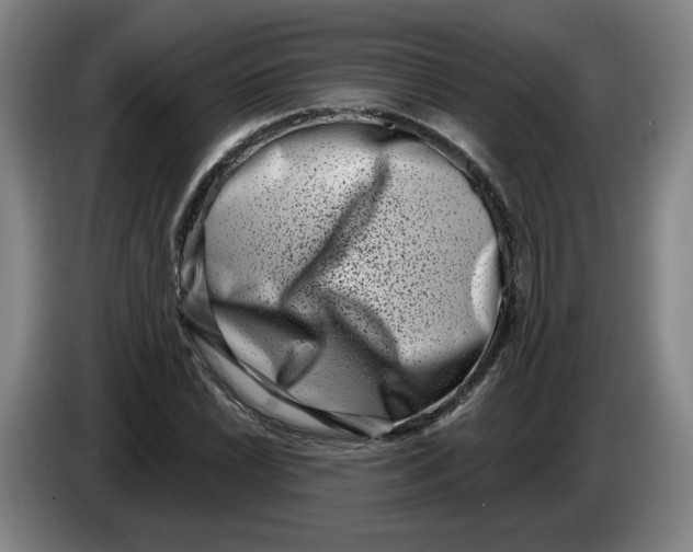 X0000086271022200704191920