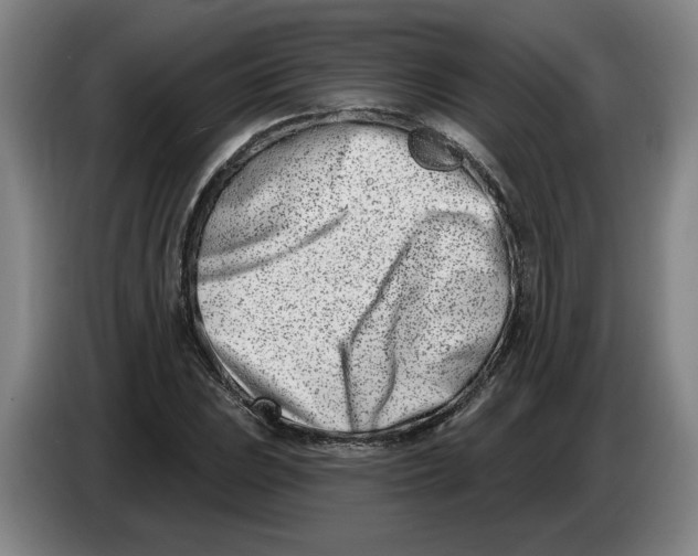 X0000086271023200704191920