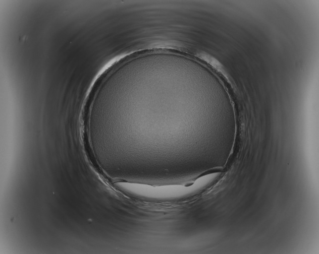 X0000086271024200704191920