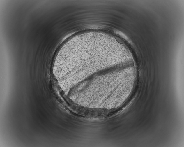 X0000086271025200704191920