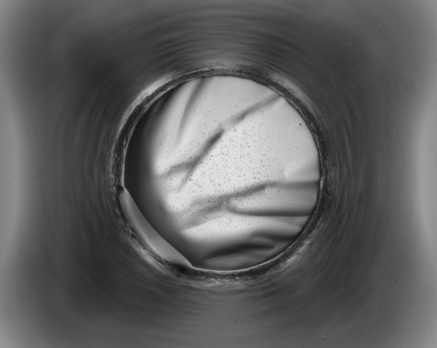 X0000086271026200704191920