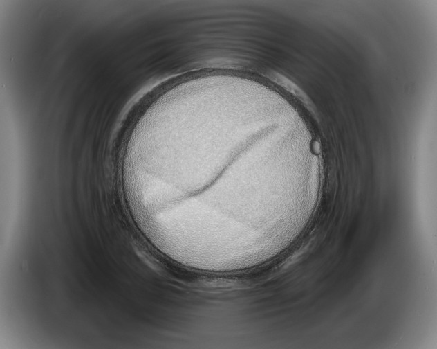 X0000086271027200704191920