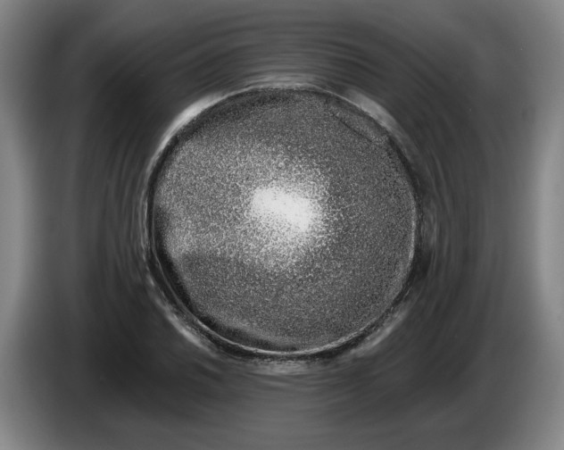 X0000086271030200704191920