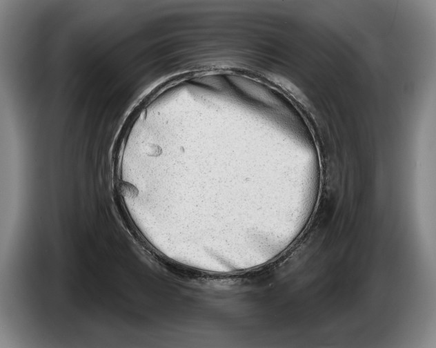 X0000086271031200704191920