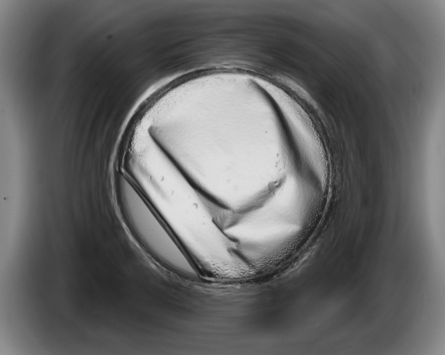 X0000086271032200704191920