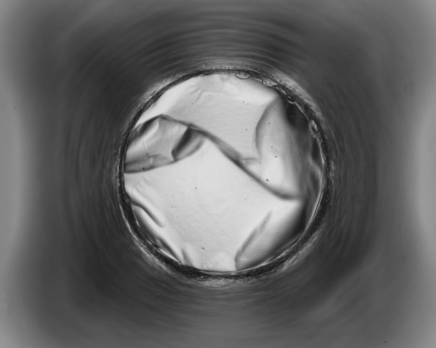 X0000086271033200704191920