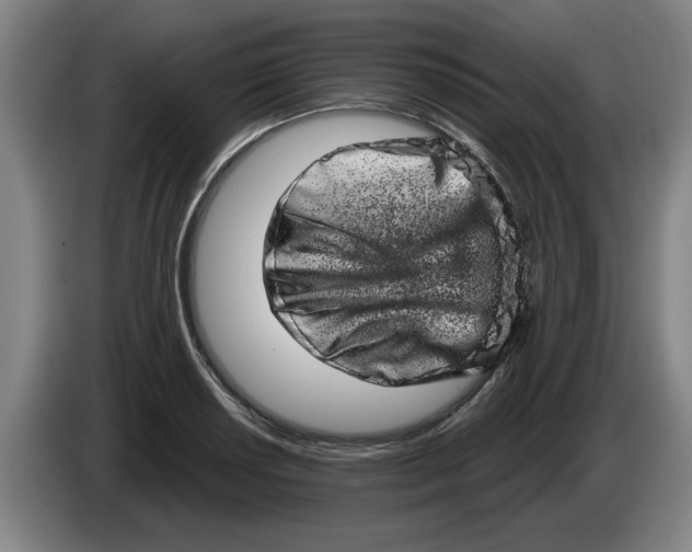 X0000086271034200704191920