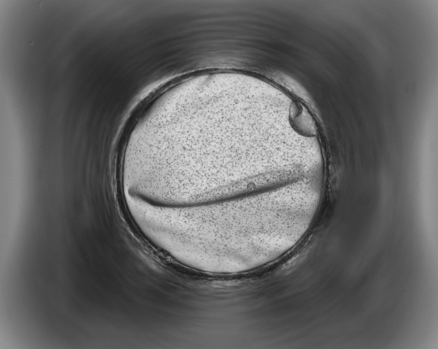 X0000086271035200704191920