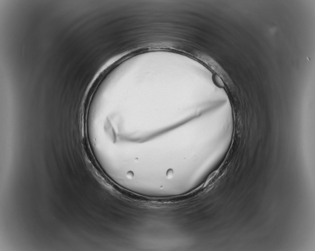 X0000086271036200704191920